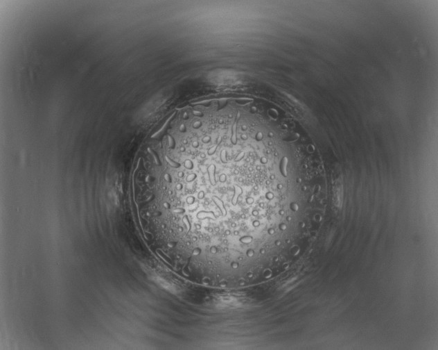 X0000060770618200511101216