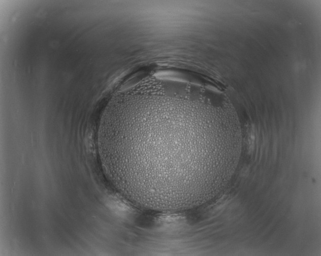 X0000060770619200511101216