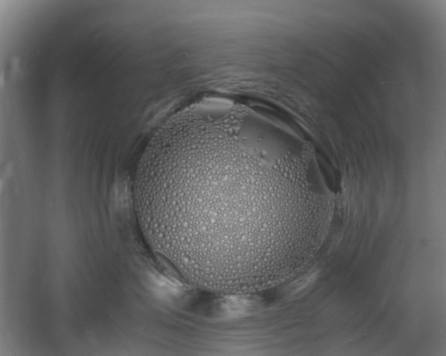 X0000060770623200511101215