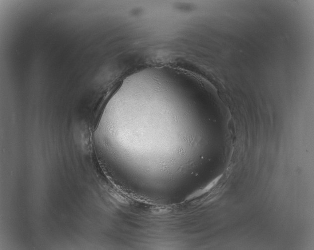 X0000060770624200511101215