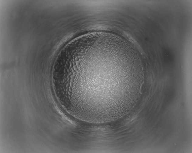 X0000060770625200511101215