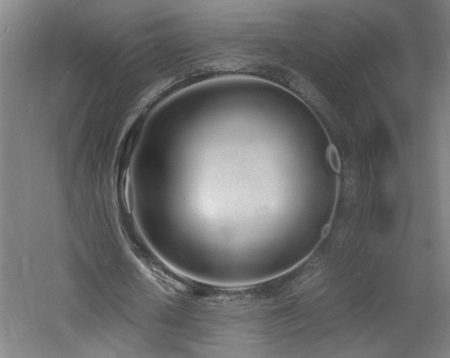 X0000060770626200511101215