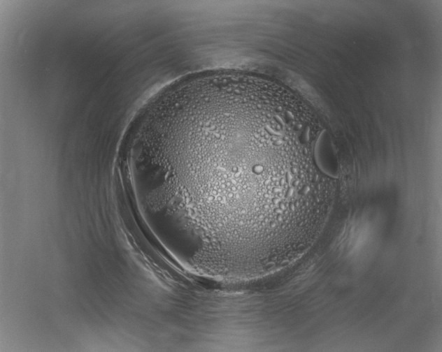 X0000060770628200511101215