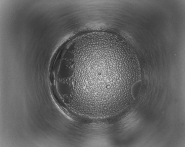 X0000060770630200511101215