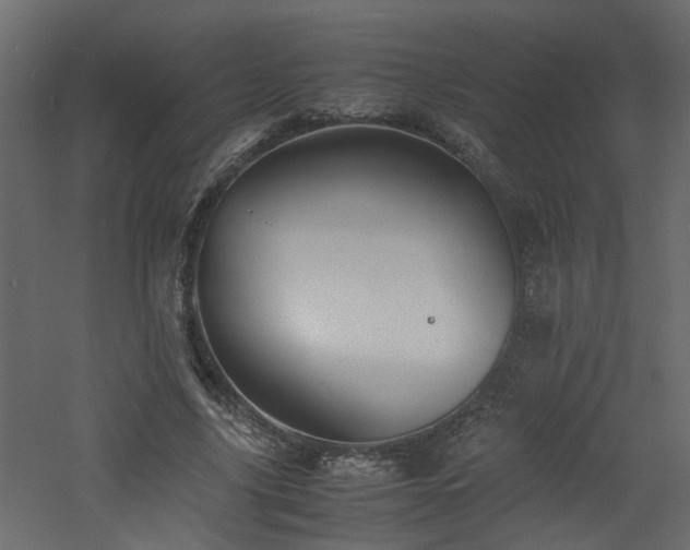 X0000060770635200511101215