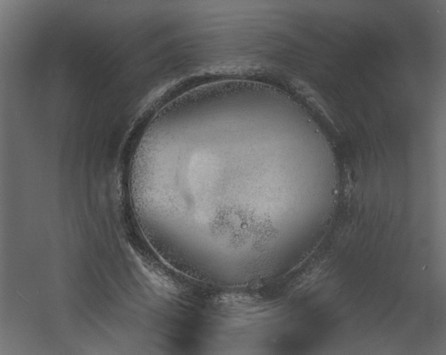 X0000060770636200511101215