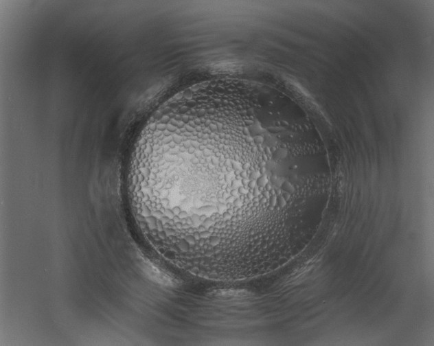 X0000060770637200511101215