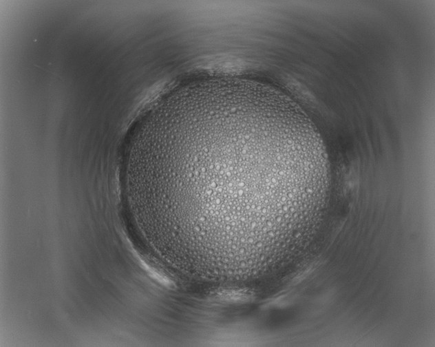 X0000060770638200511101215