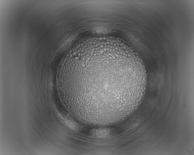 X0000060770639200511101215