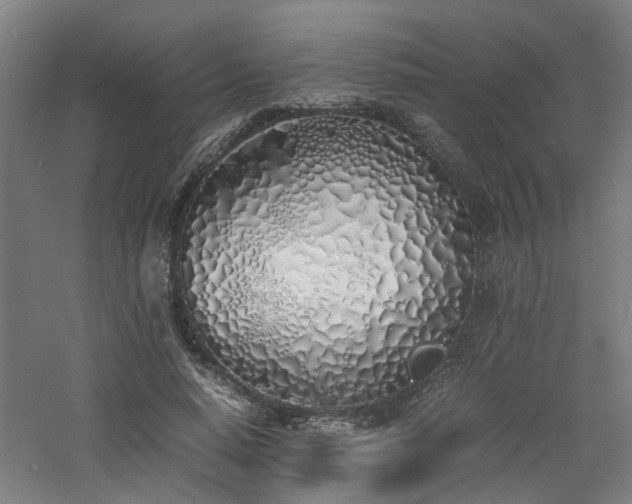 X0000060770640200511101215