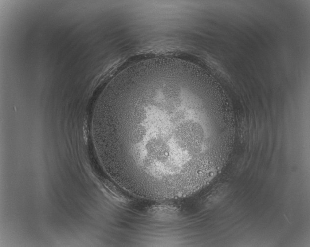 X0000060770644200511101215