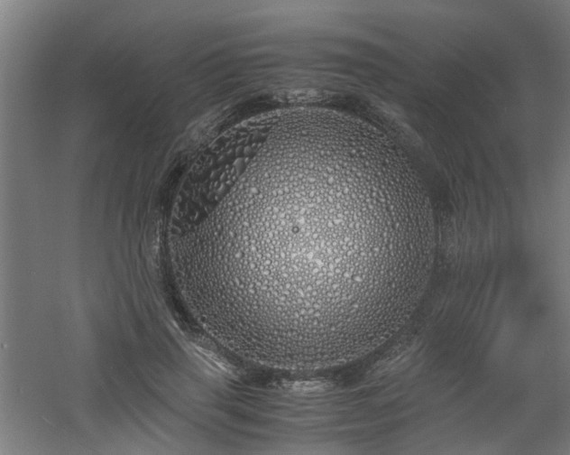 X0000060770645200511101215