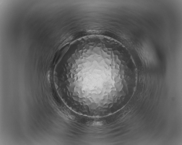 X0000060770647200511101215