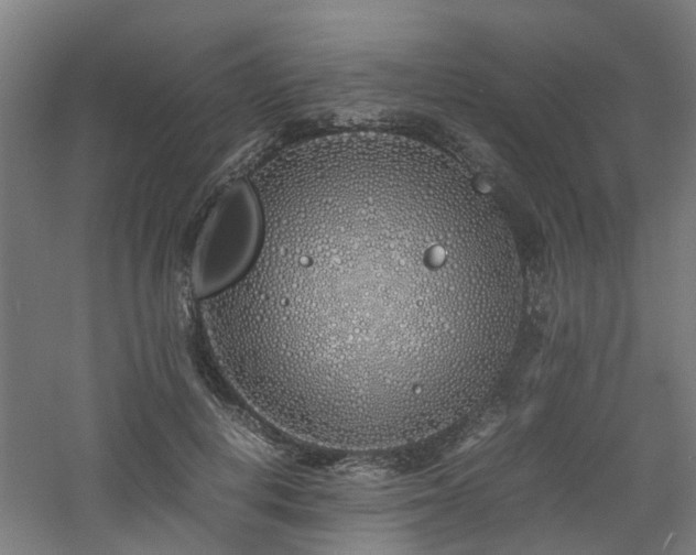 X0000060770648200511101215