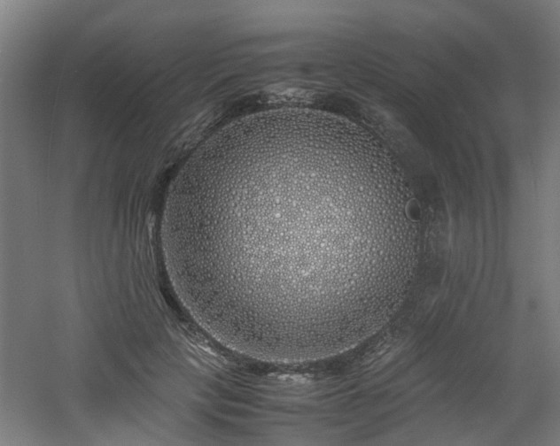 X0000060770649200511101215