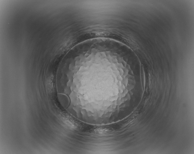 X0000060770650200511101215