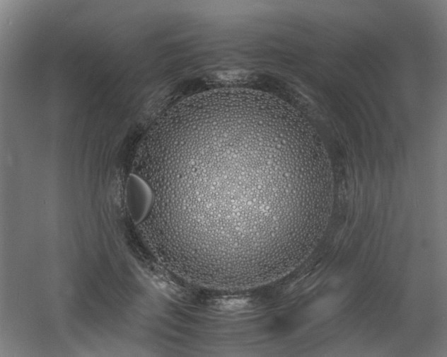 X0000060770651200511101215