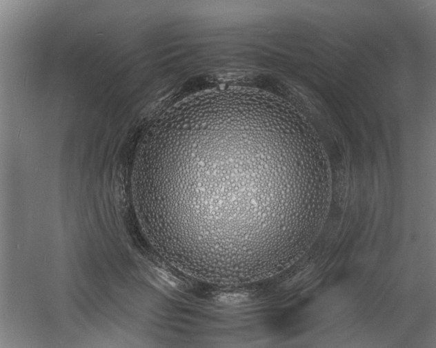 X0000060770653200511101215