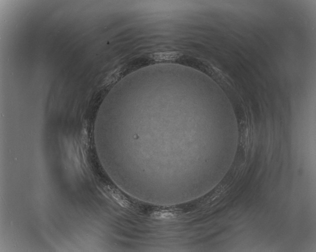 X0000060770655200511101215