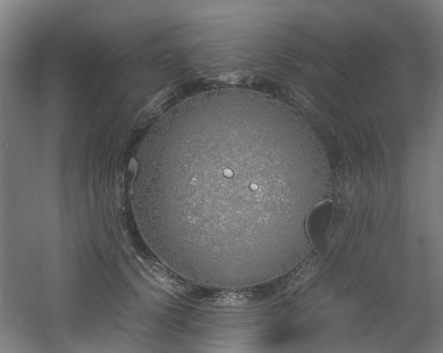 X0000060770656200511101215