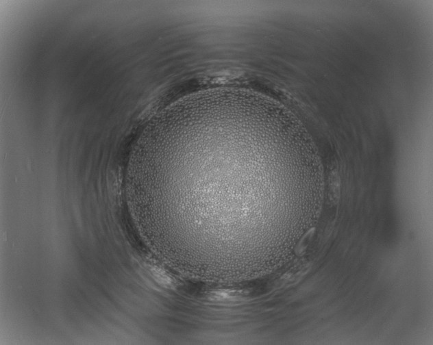 X0000060770657200511101215