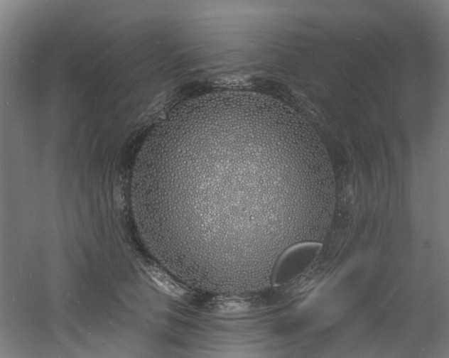 X0000060770658200511101215