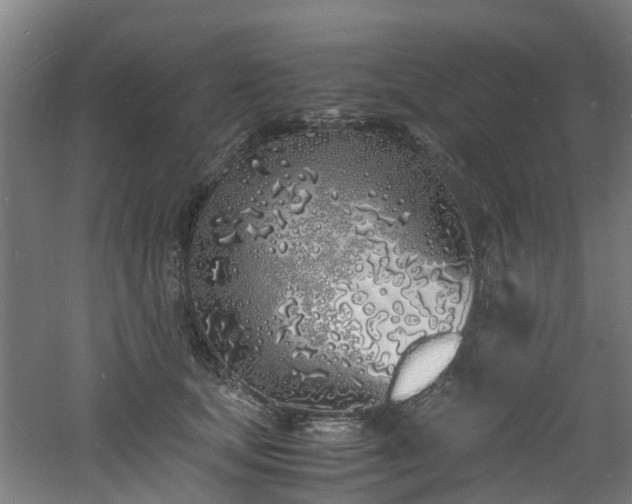 X0000060770659200511101215