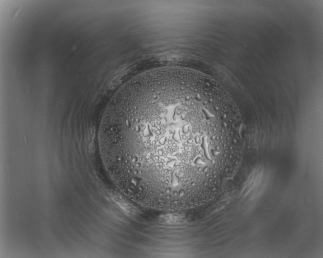 X0000060770660200511101215