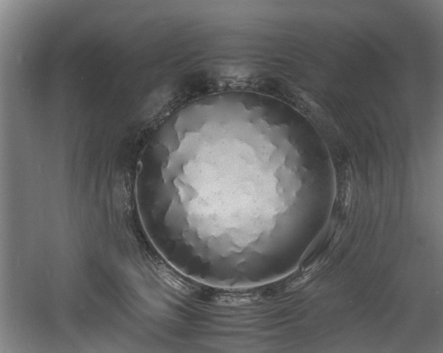 X0000060770661200511101215