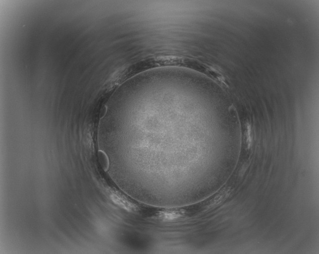 X0000060770662200511101215