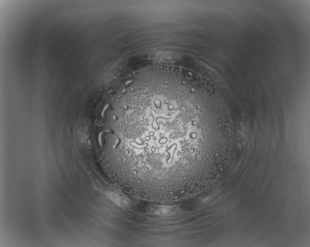 X0000060770663200511101215