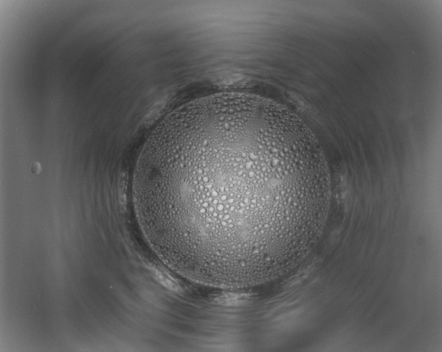 X0000060770664200511101215