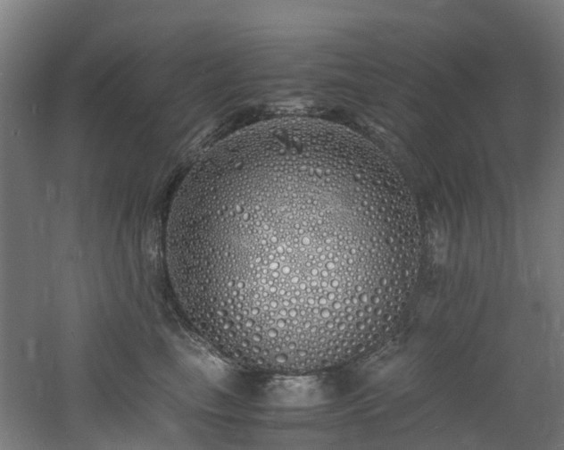 X0000060770665200511101215