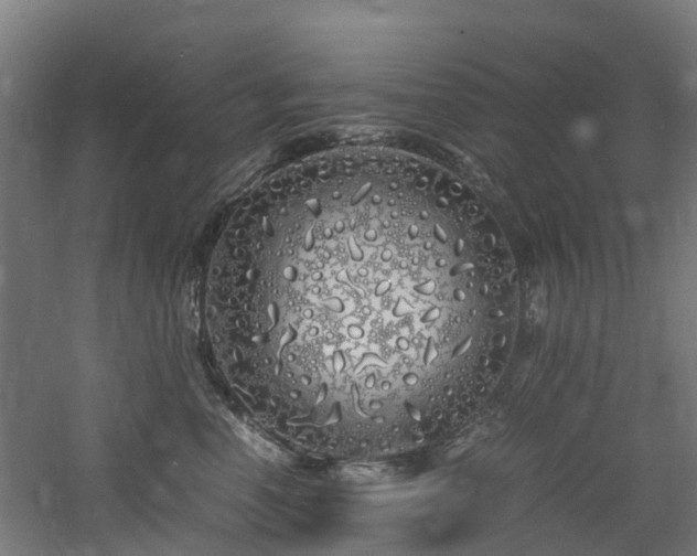 X0000060770666200511101215