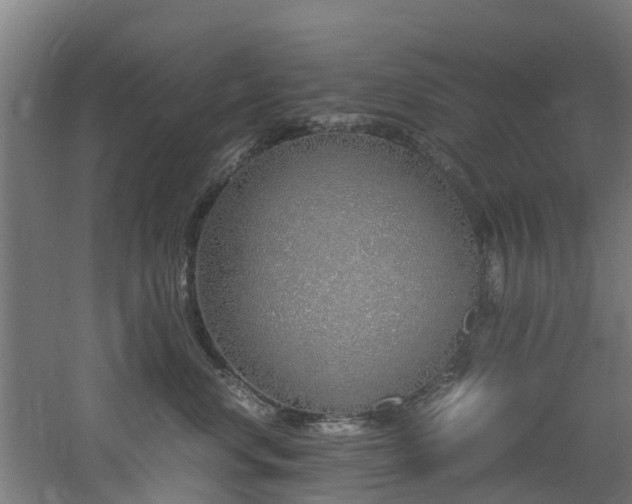 X0000060770668200511101215