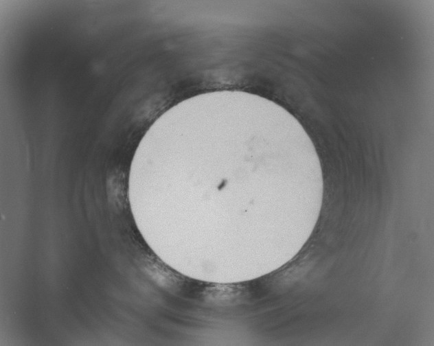 X0000060770672200511101215