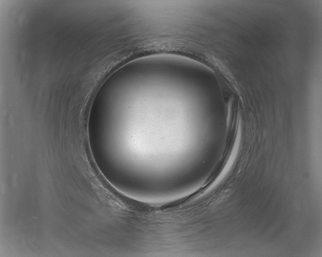 X0000060770673200511101215