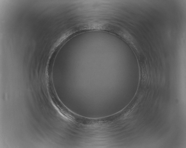 X0000060770674200511101215