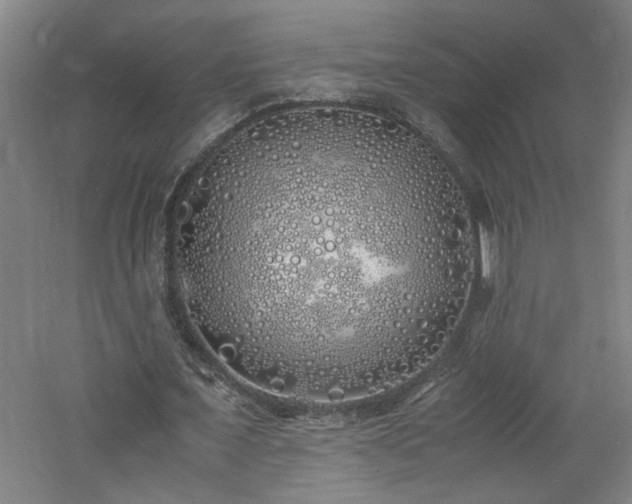 X0000060770675200511101215