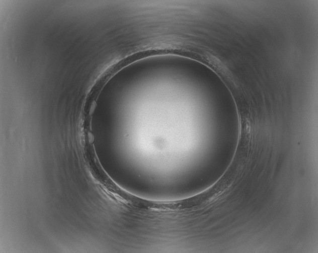 X0000060770676200511101215