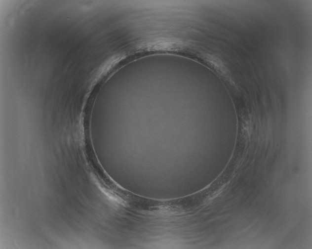 X0000060770678200511101215