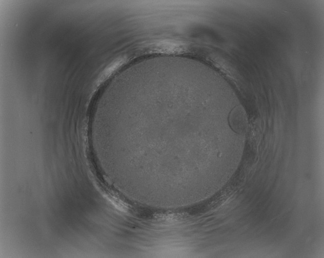 X0000060770679200511101215