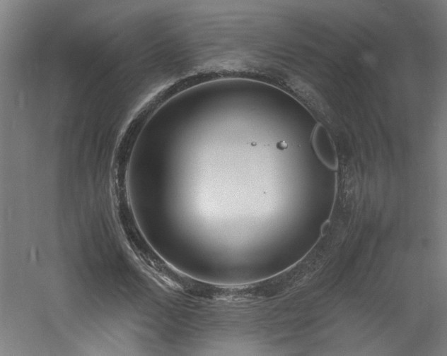 X0000060770680200511101215