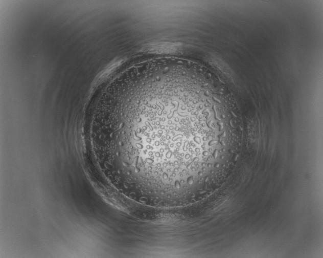 X0000060770682200511101214