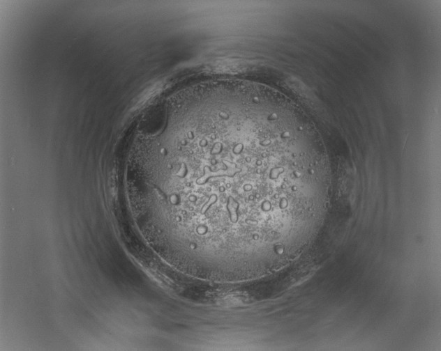 X0000060770683200511101214