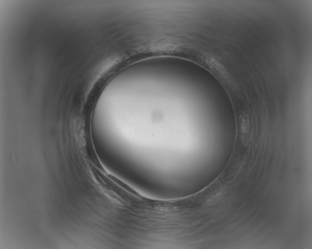 X0000060770684200511101214