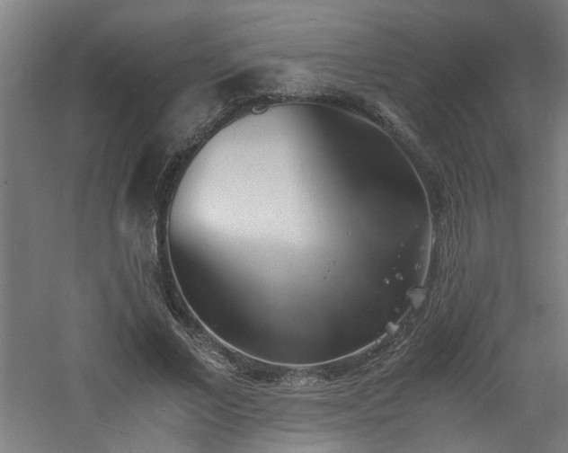 X0000060770685200511101214