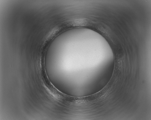 X0000060770686200511101214