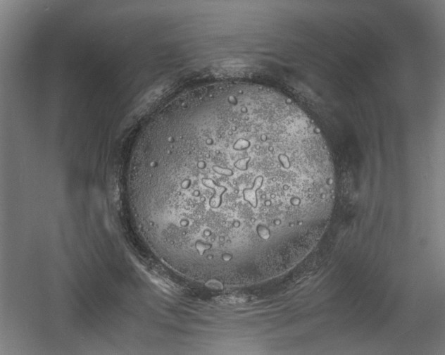 X0000060770687200511101214