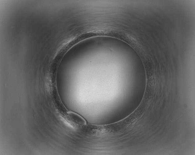 X0000060770688200511101214